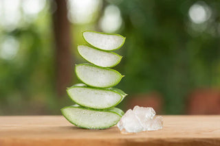 Aloe Vera