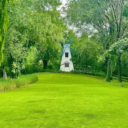 🌱2026 𝑆𝑒𝑒𝑑𝘷𝘪𝘷𝘰 𝘍𝘰𝘶𝘳-𝘚𝘦𝑎𝑠𝑜𝑛 𝐷𝑤𝑎𝑟𝘧 𝘎𝘳𝘢𝘴𝘴 𝘚𝘦𝑒𝑑 𝐷𝑢𝑟𝑎𝑏𝑙𝘦, 𝘝𝘪𝘣𝘳𝘢𝑛𝑡 𝐺𝑟𝑒𝘦𝘯 𝘈𝘭𝘭 𝘠𝘦𝑎𝑟 𝑅𝑜𝑢𝑛𝑑🔥