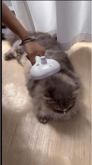 Loose fur, handled